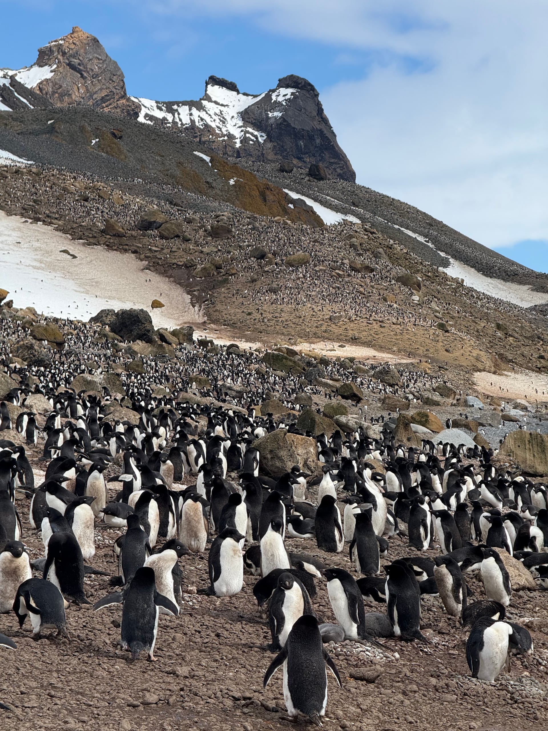 Antarktis